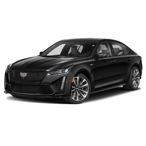 Premium limousine fleet - DA Executive Limousine vehicles